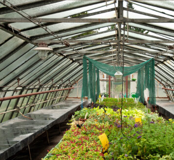 Vytápění skleníků kaskádou 4x LW 251A